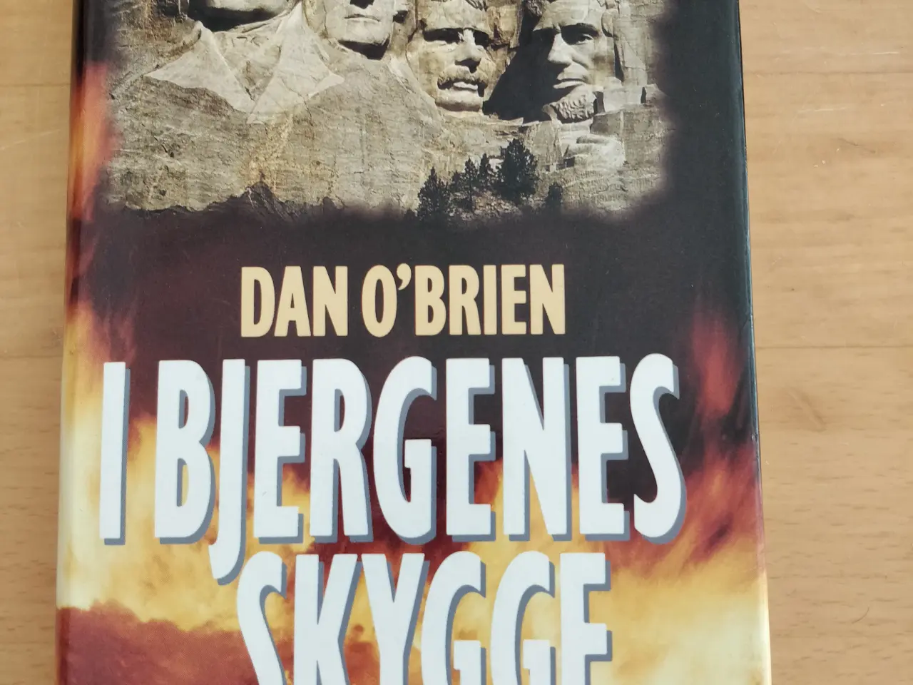Billede 1 - I bjergenes skygge