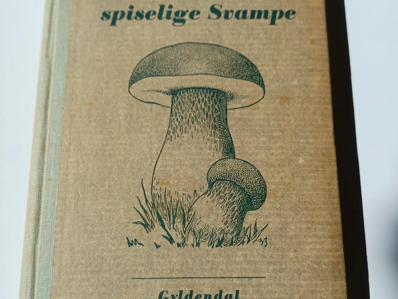 Billede 1 - Danmarks spiselige Svampe af C. Mundt
