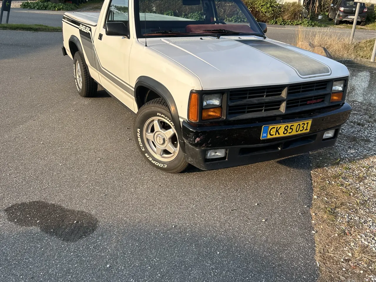 Billede 1 - Dodge Dakota Shelby