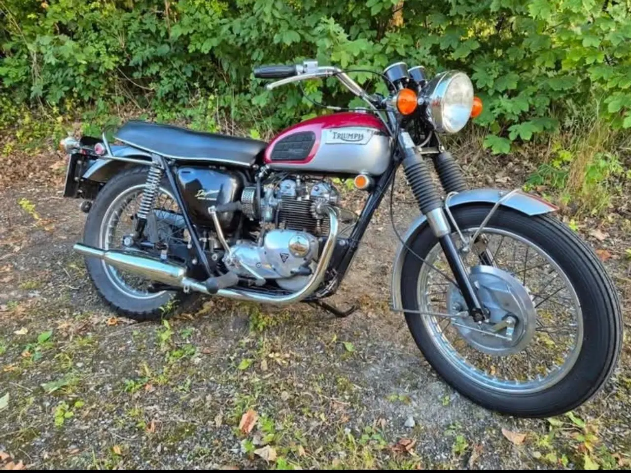 Billede 2 - Triumph Daytona T100R 1971