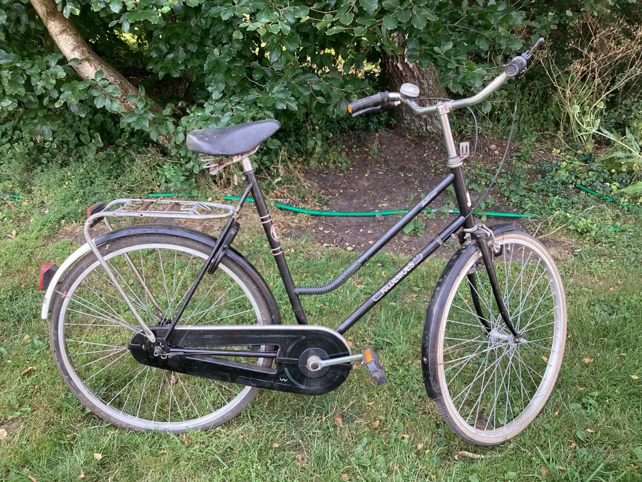 Billede 1 - Kildemoes
