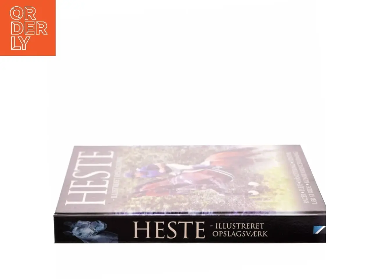 Billede 2 - Heste - illustreret opslagsværk af Lin Esposito (Bog)