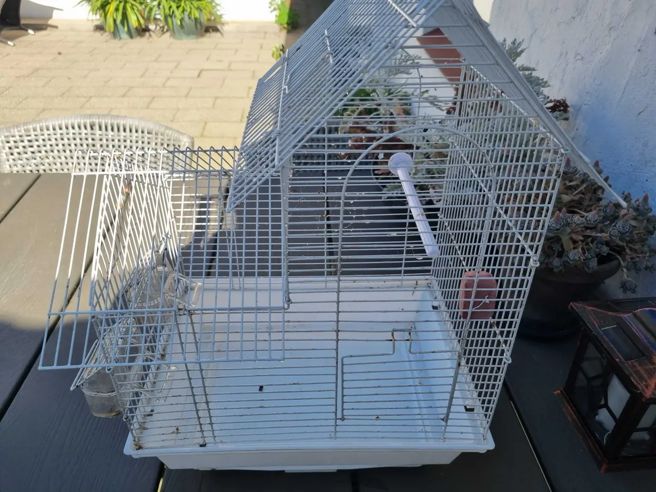 Billede 1 - Fuglebur 