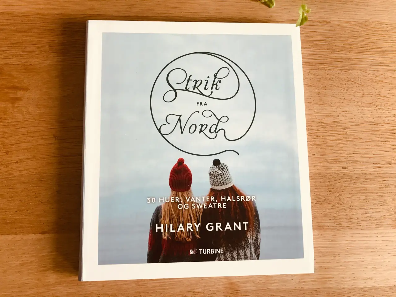 Billede 1 - Strik fra Nord af Hilary Grant