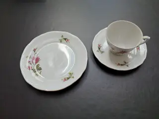 Kaffestel med roser og guldkant