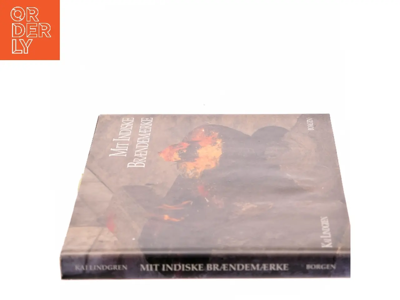 Billede 2 - Mit indiske brændemærke af Kai Lindgren (Bog)