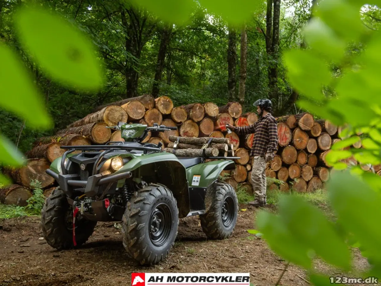 Billede 4 - Yamaha Kodiak 700 EPS STD