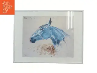 Indrammet billede af hest (str. 41x31 cm)