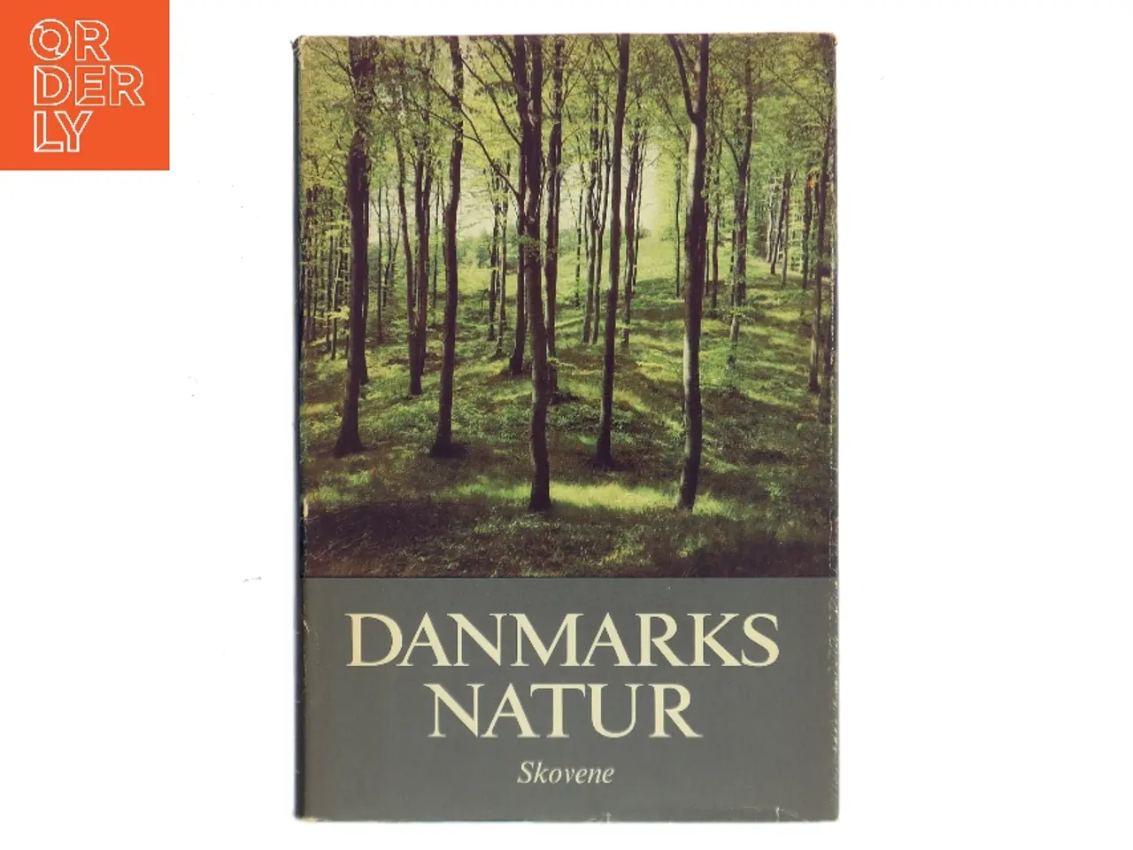 Billede 1 - Danmarks natur. Skovene af <Udfyld bogens forfattere< (Bog)