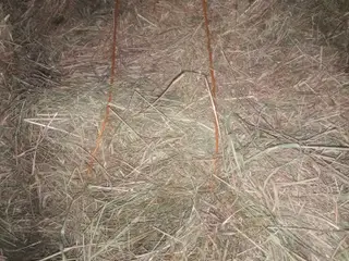 Høballer
