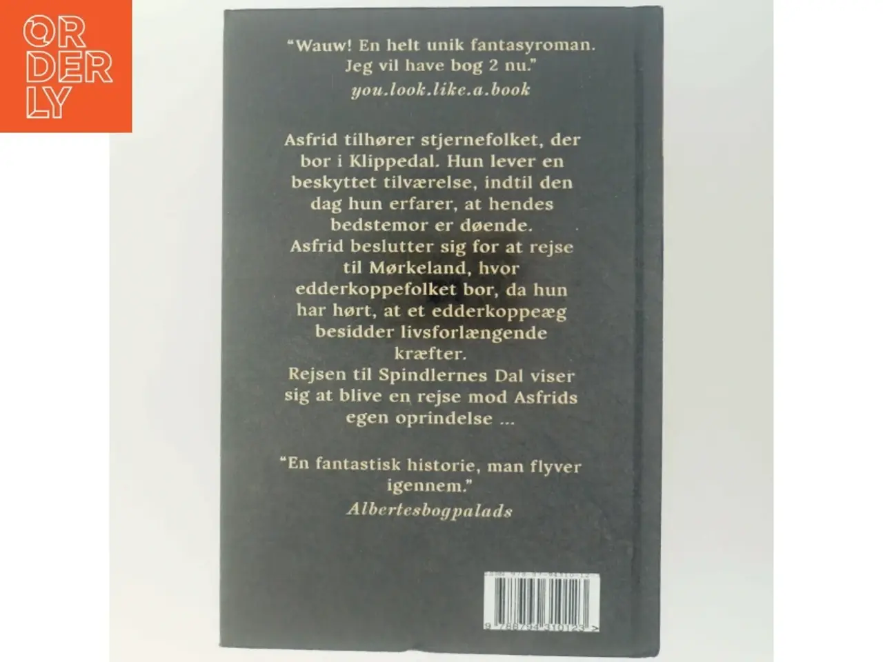 Billede 3 - Asfrid - Spindlernes Dal af Laura Helena Pimentel da Silva (f. 1994) (Bog)