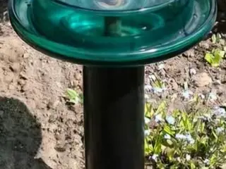 Fuglebad i hærdet glas