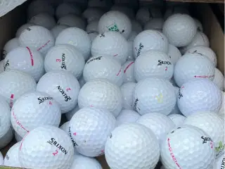 Srixon SF Lady