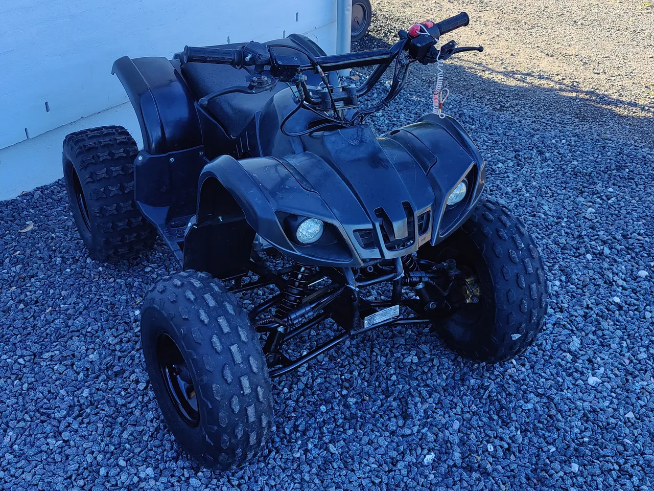 Billede 2 - 125ccm ATV 150 kg