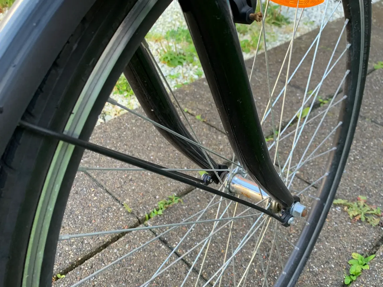 Billede 5 - Sort cykeldame