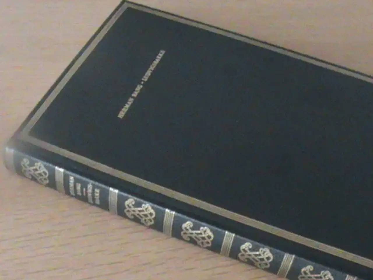 Billede 1 - Bog: Herman Bang: Ludvigsbakke