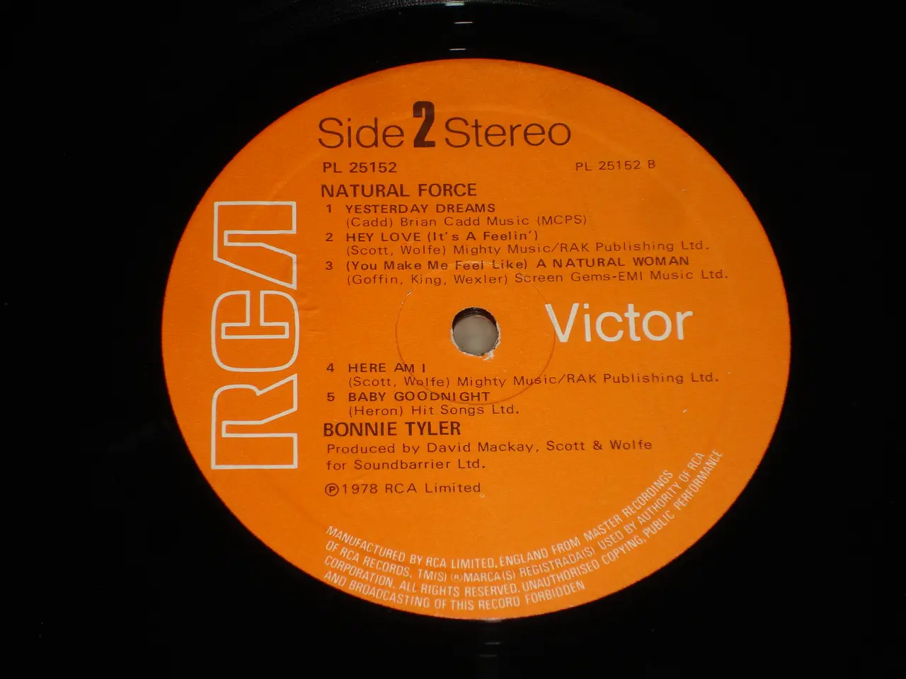 Billede 5 - (Sender gerne) Bonnie Tyler – Natural Force