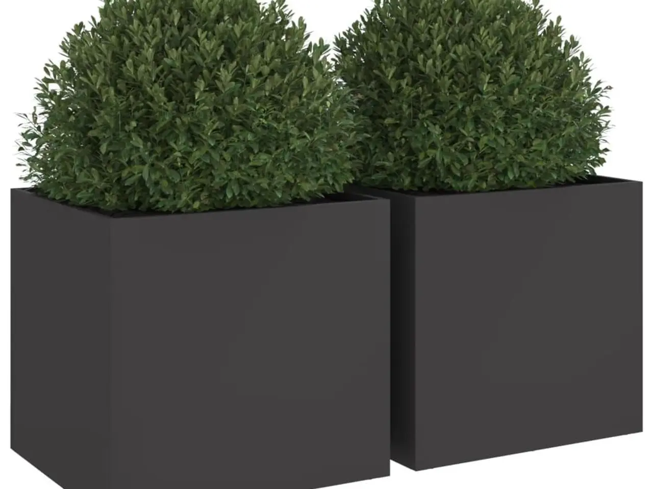 Billede 4 - Plantekasser 2 stk. 49x47x46 cm stål sort