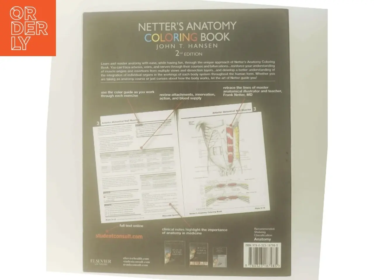 Billede 3 - Netter's Anatomy Coloring Book af John T. Hansen (Bog)