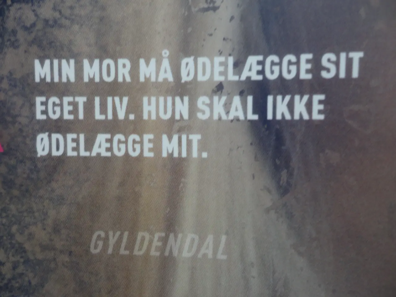 Billede 2 - Den som flasken peger på :