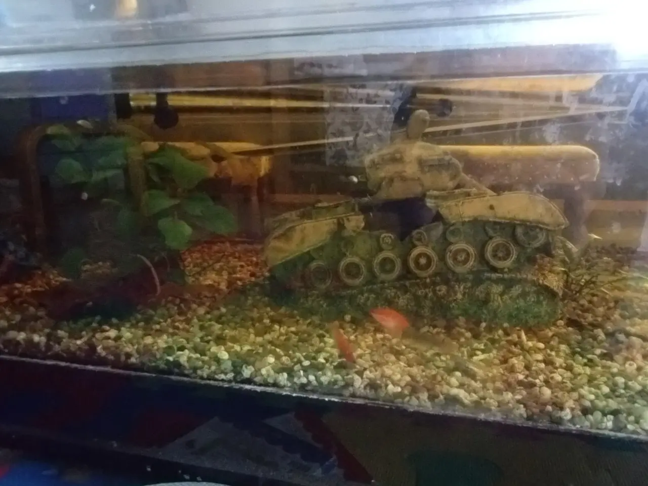 Billede 1 - Akvarie sofa bord 