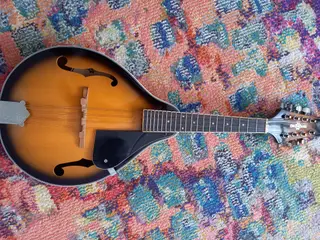 Mandolin med taske