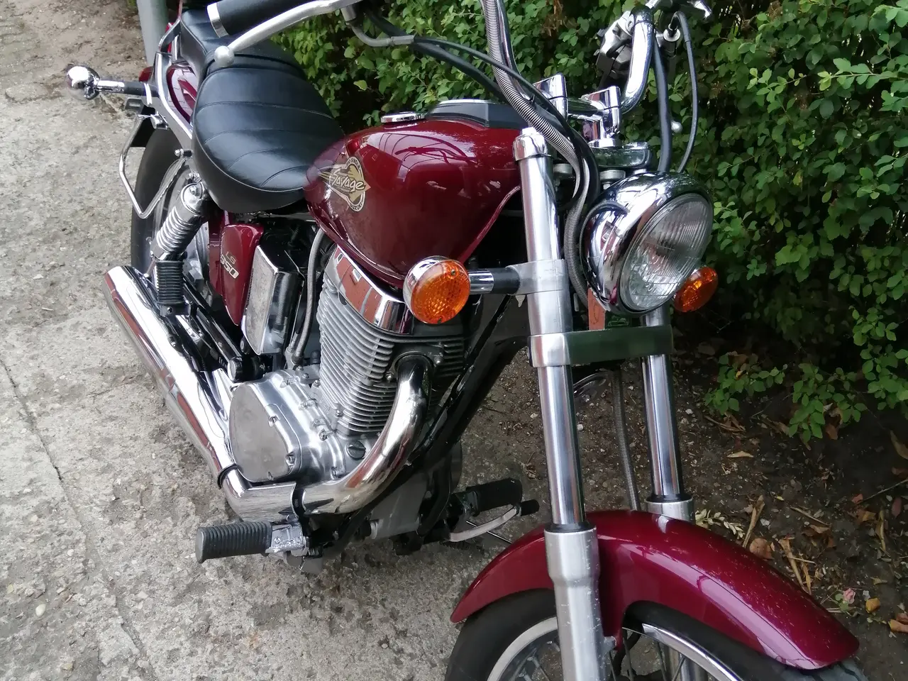 Billede 6 - Suzuki Savage LS 650 - Meget pæn og velkørende