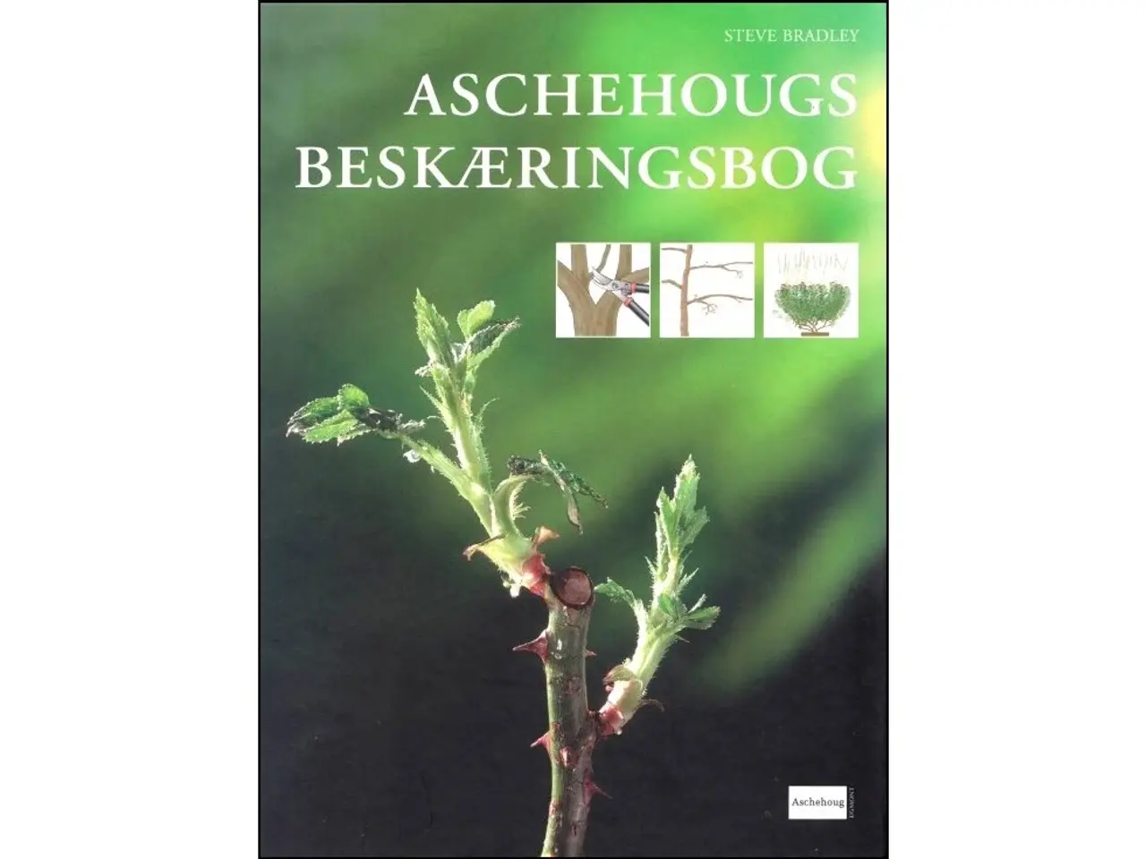 Billede 1 - Aschehougs Beskæringsbog