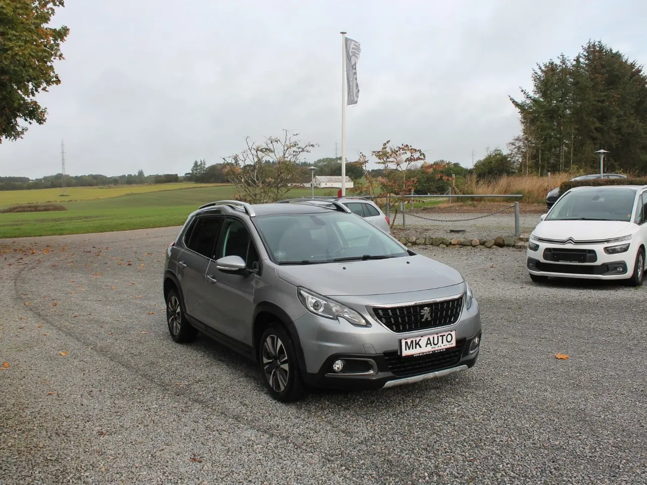 Billede 2 - Peugeot 2008 1,6 BlueHDi 100 Selection Sky