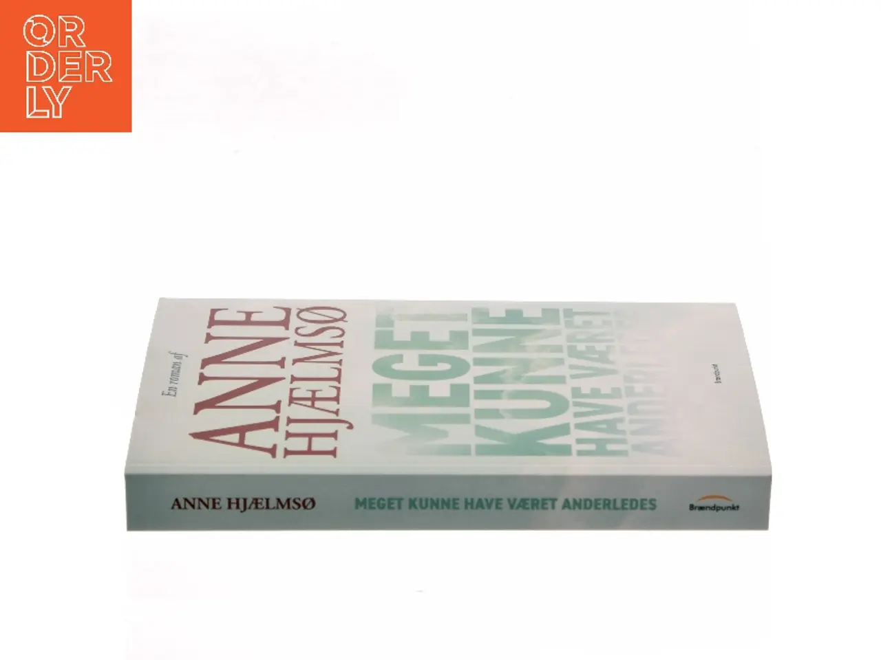 Billede 2 - Meget kunne have været anderledes : roman af Anne Hjælmsø (Bog)