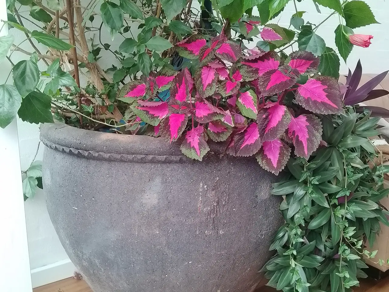 Billede 1 - Stor krukke til planter
