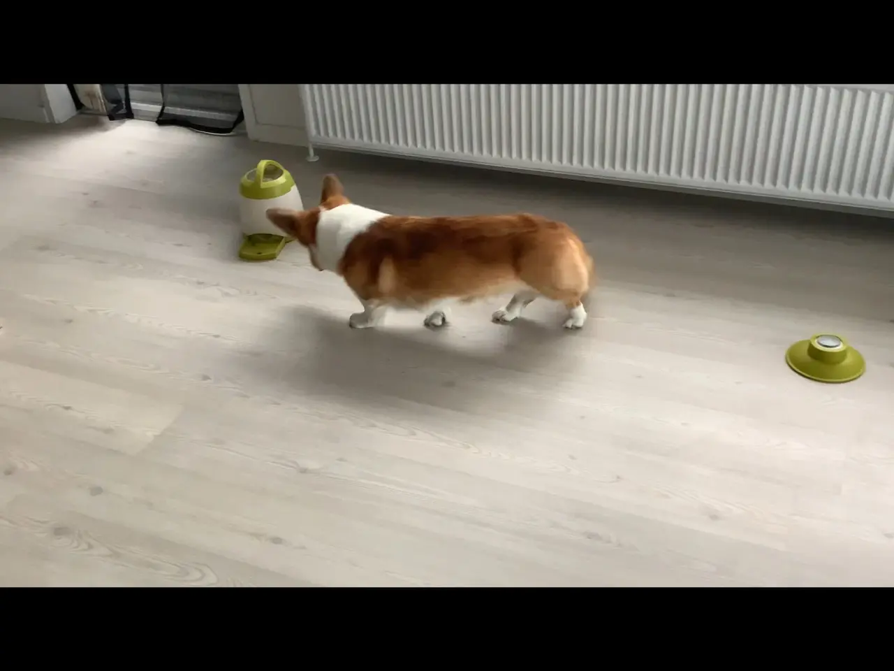 Billede 3 - Trixie Dog Activity Memory Trainer 3.0