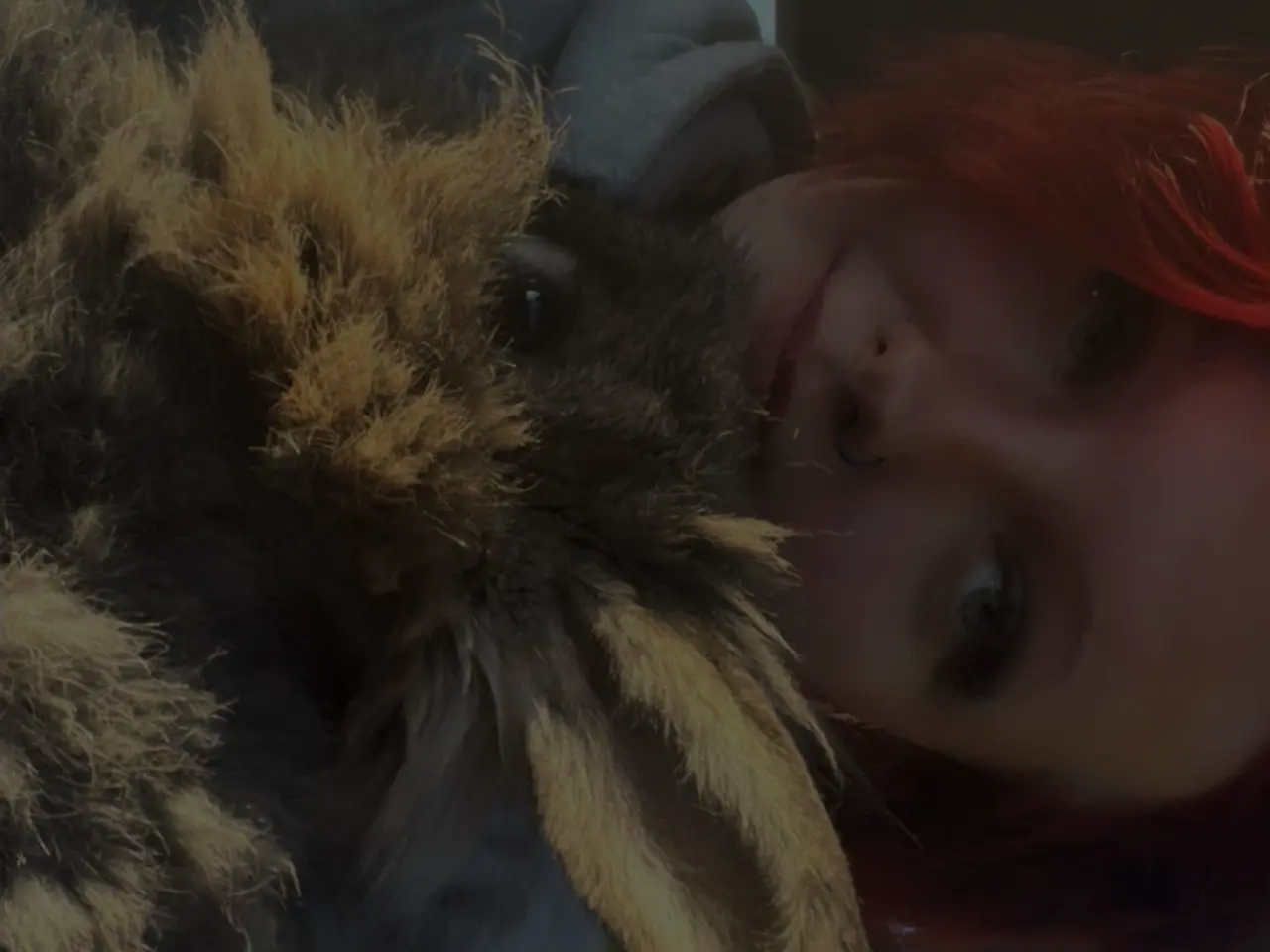 Billede 1 - 🐰💕 Kærlig Angorakanin søger sit nye, blivende hj