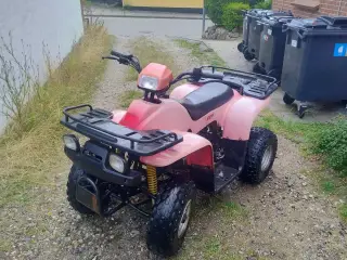 P Lindbjerg ATV 150 Fighter