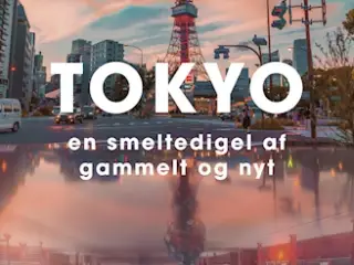 Tokyo en smeltediget af gammelt og nyt.