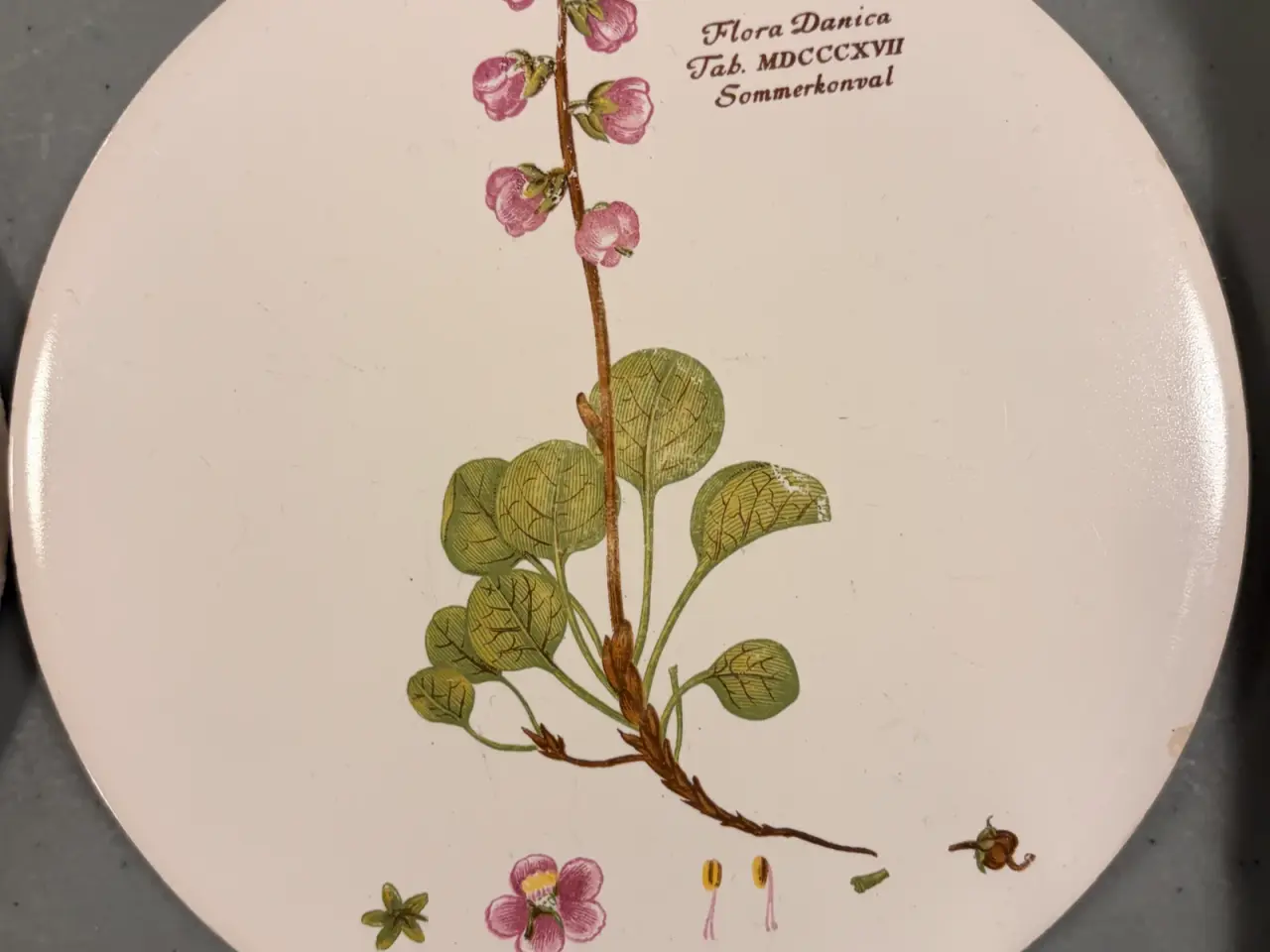 Billede 2 - H&R Johnson • Flora Danica platter (5 stk)