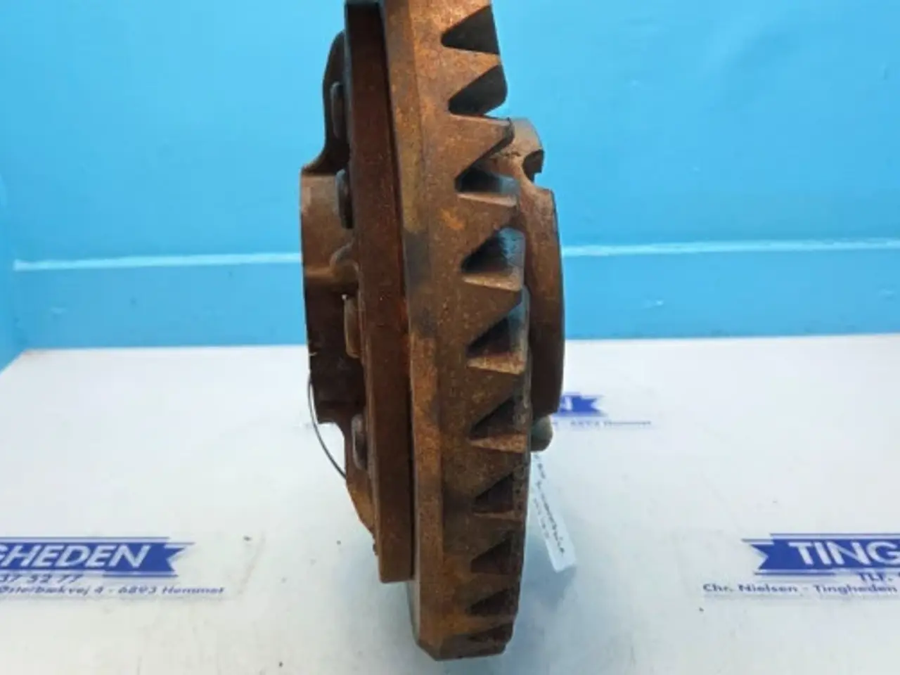Billede 8 - Massey Ferguson 6260 Keglehjul 3389202M92