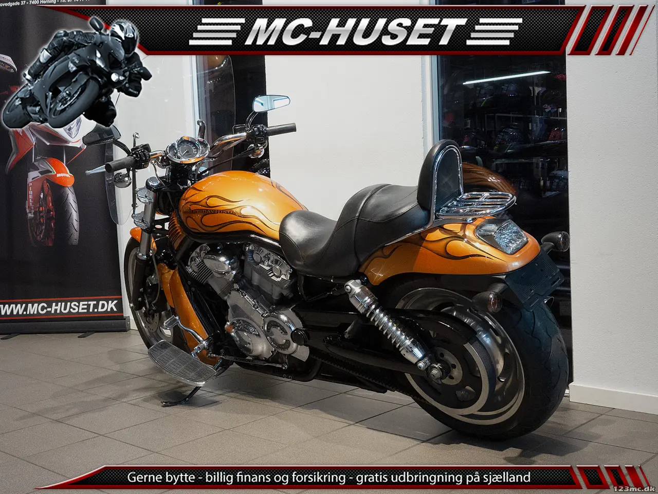 Billede 5 - Harley-Davidson VRSCA V-Rod