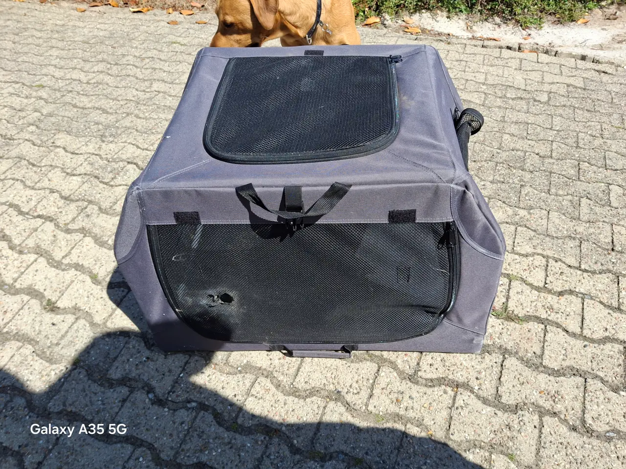 Billede 2 - Let transport kasse,