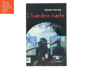 I brøndens mørke af Annette Herzog (Bog)