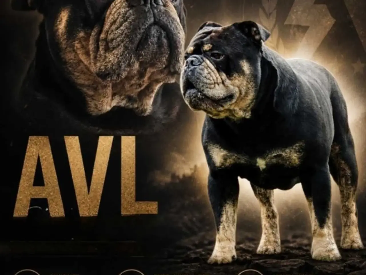 Billede 1 - Avls han