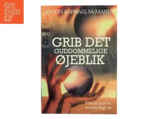 Grib det guddommelige øjeblik! : vov at leve et eventyrligt liv af Erwin Raphael McManus (Bog)