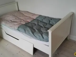 pigeseng