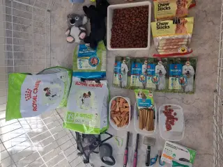 Alt til lille hund – samlet pakke til ½ pris!