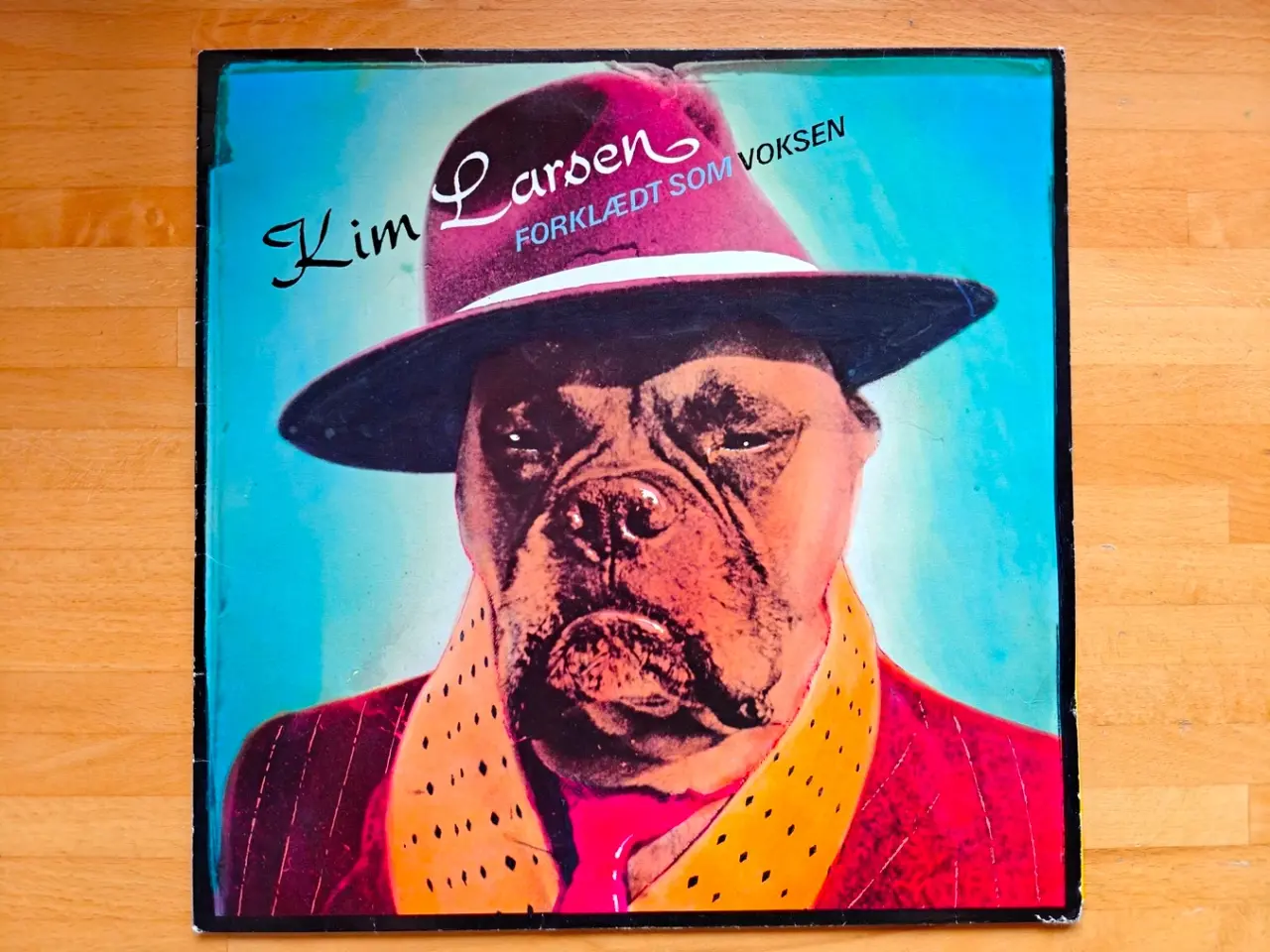 Billede 1 - LP, Kim Larsen & Bellami – Forklædt Som Voksen