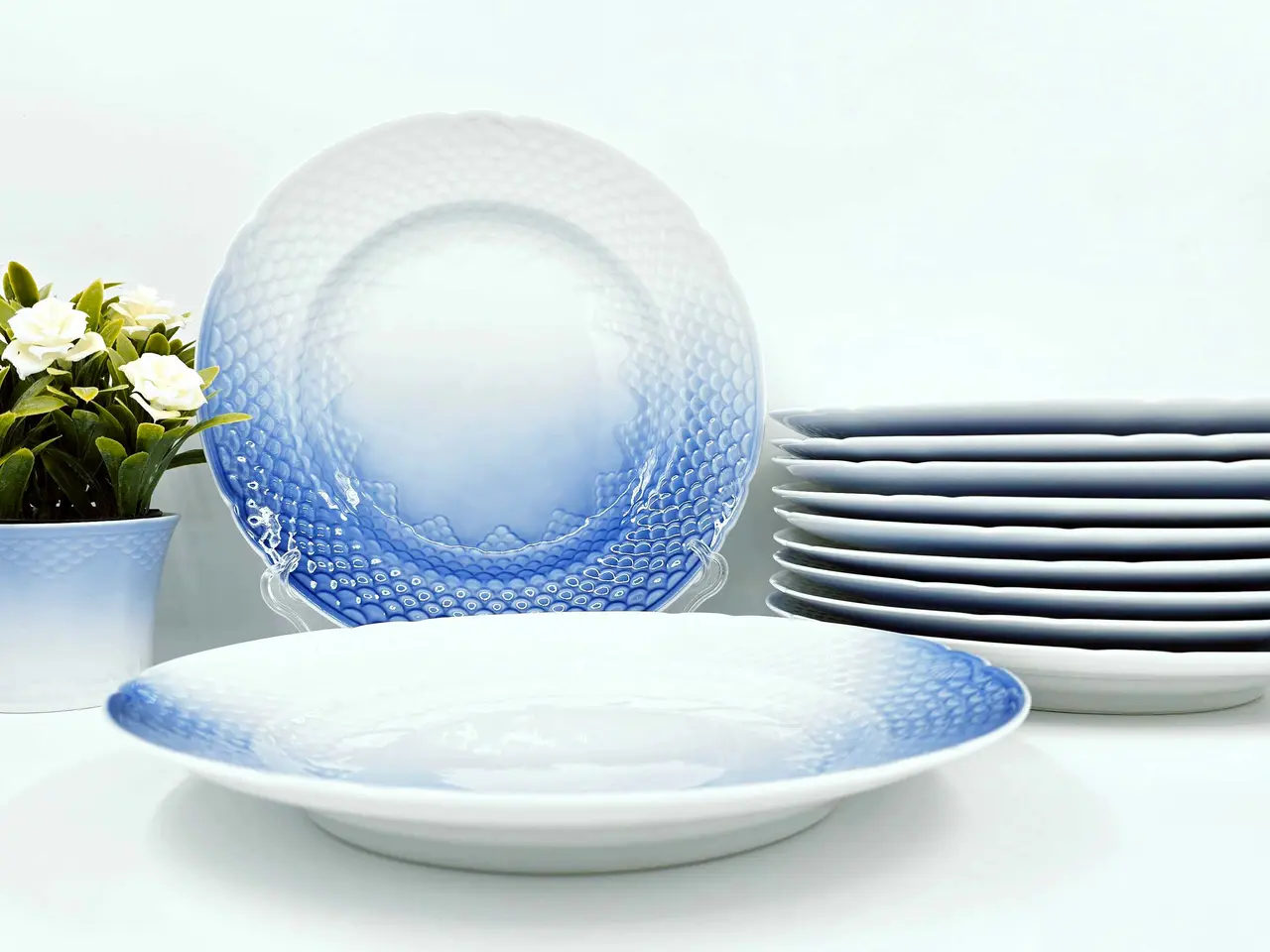 Billede 4 - Blå Tone - Musling Middagstallerken Porcelæn