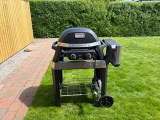 Weber Pulse 2000