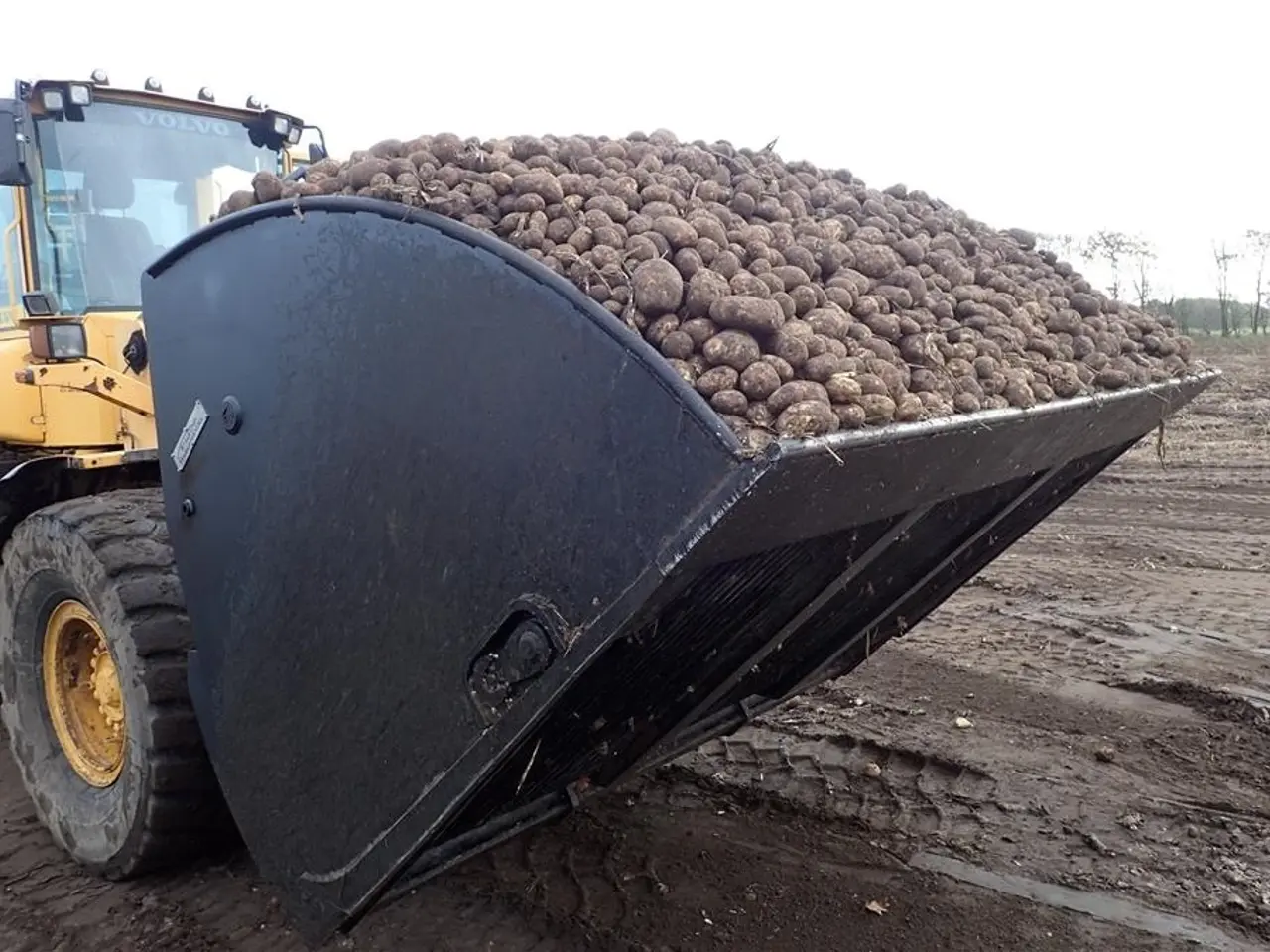 Billede 5 - Staulund Kartoffelskovl HT 6000