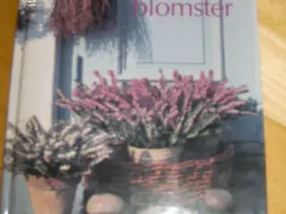 Alt om stueplanter 10
