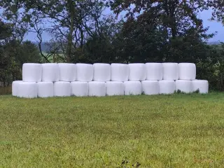 Heste wrap øko
